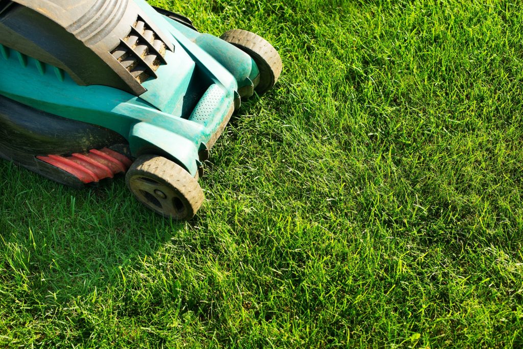 Lawn mower on grass closeup view. Lawn care concept